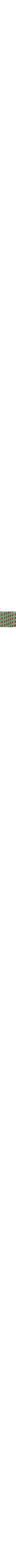 Vert à motifs