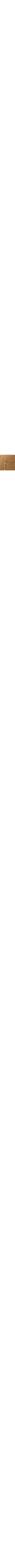Brun à motifs