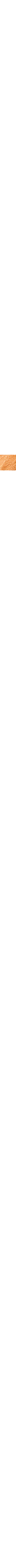 Brun à motifs