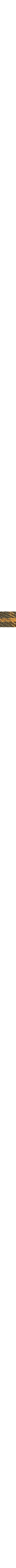 Vert à motifs