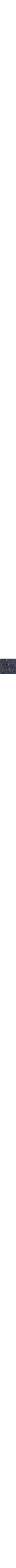 Bleu marine à motifs