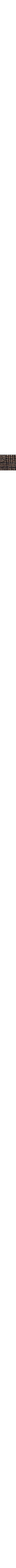 Brun à motifs