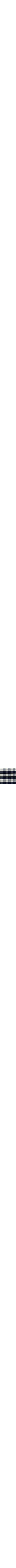 Gingham