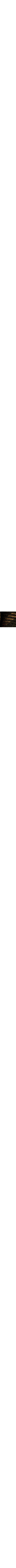 Vert à motifs