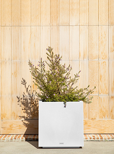 La grande jardini&egrave;re cube urbain
