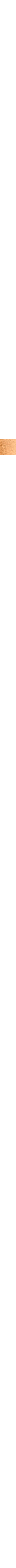 Cuivre - Rouille