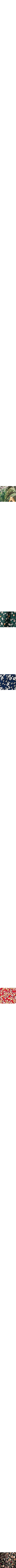 Noir à motifs