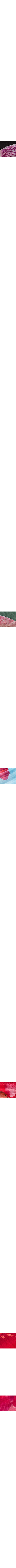 Rouge à motifs