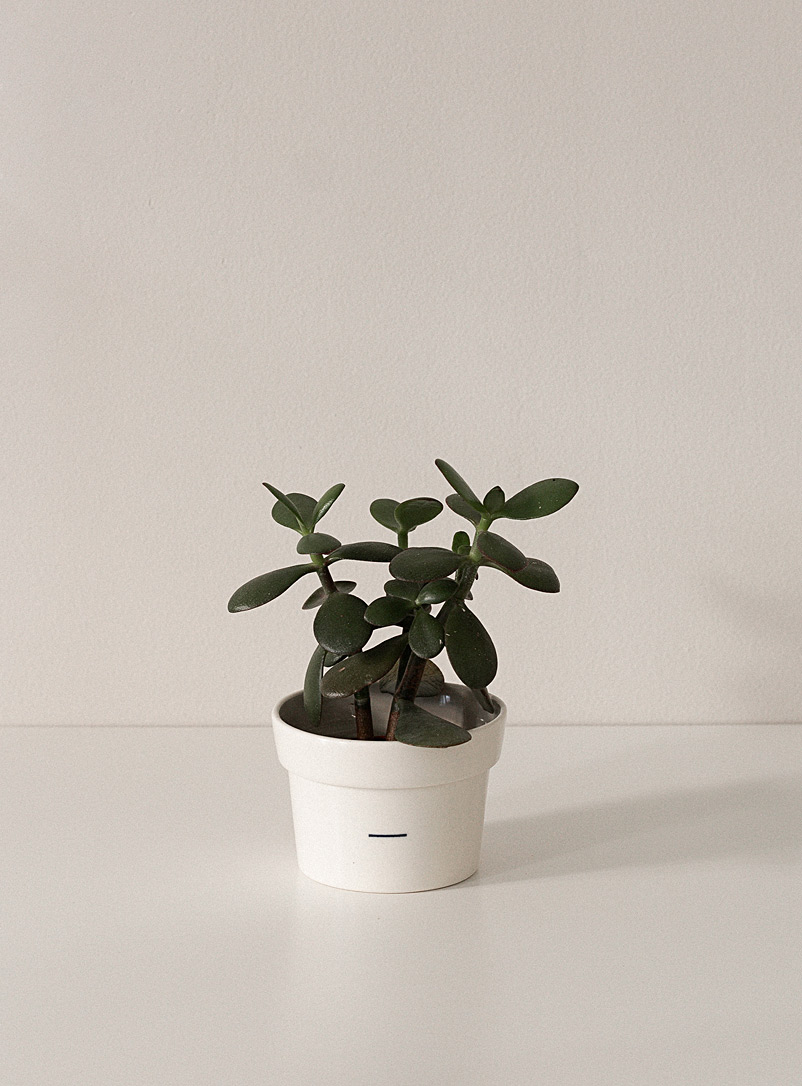 Atelier Margot Ivory White Axel planter See available sizes