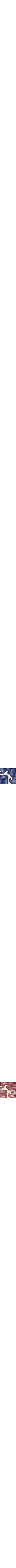Bleu à motifs