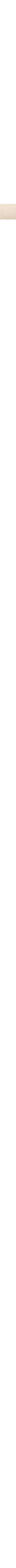 Beige - Grège