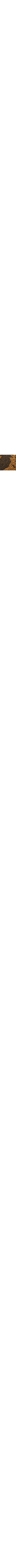 Brun à motifs