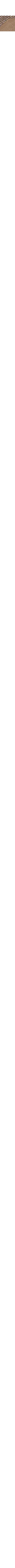 Kaki