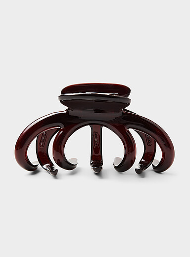 Rounded-teeth translucent clip