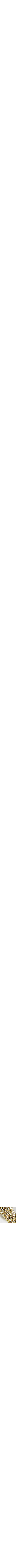 Assorti