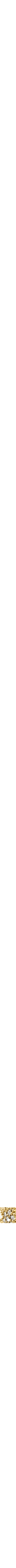 Assorti