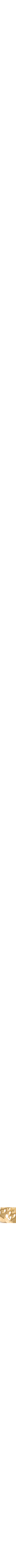 Assorti