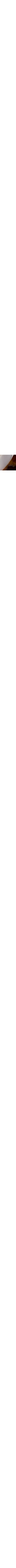 Brun à motifs