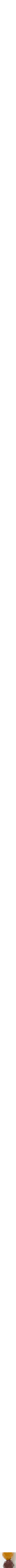 Assorti