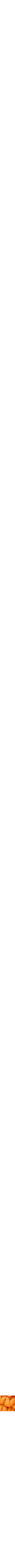Orange à motifs
