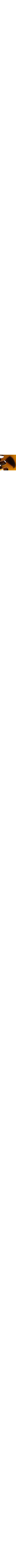 Brun à motifs
