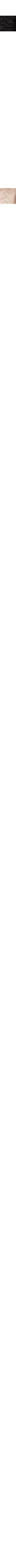 Assorti