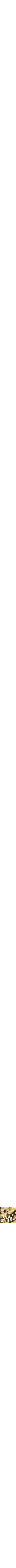 Assorti