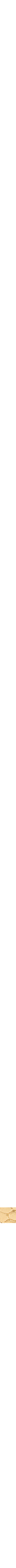 Assorti