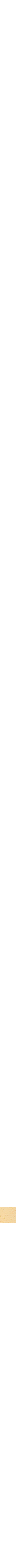 Assorti