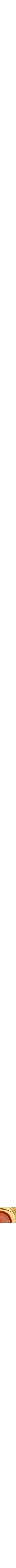 Assorti