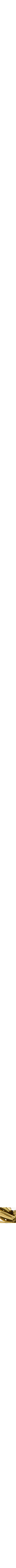 Assorti