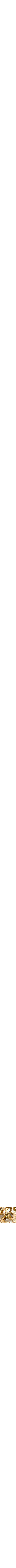 Assorti