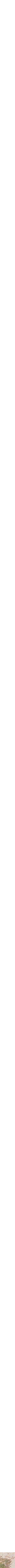 Assorti