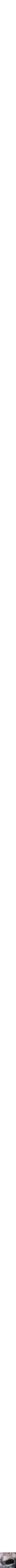 Assorti