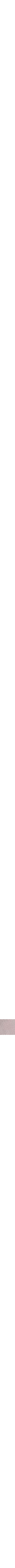 Lilas à motifs
