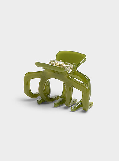 Shiny rounded-tooth clip
