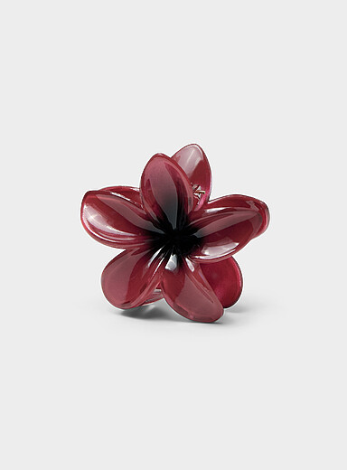 La grande pince fleur hawa&iuml;enne