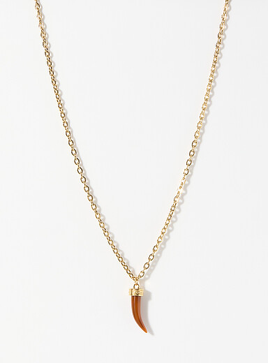 Horn pendant chain