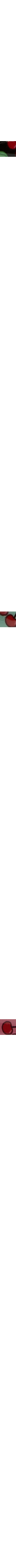 Rose pâle à motifs