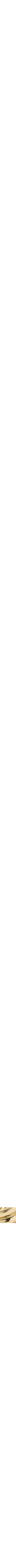 Assorti