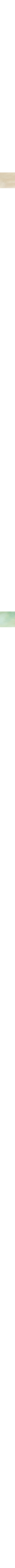 Vert à motifs