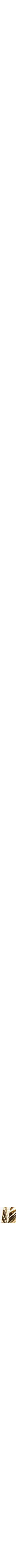 Assorti