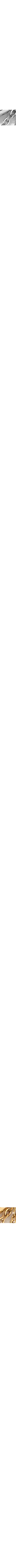 Assorti