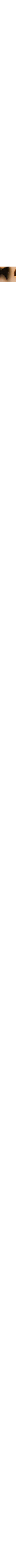 Nacré