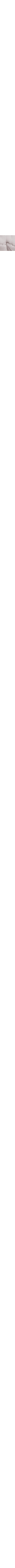 Patterned Ecru