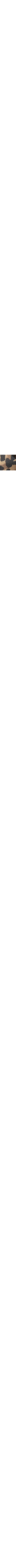 Brun à motifs