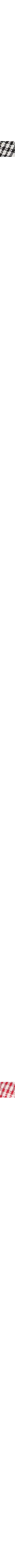 Noir à motifs