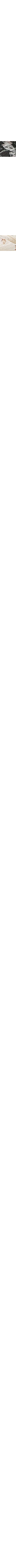 Noir à motifs