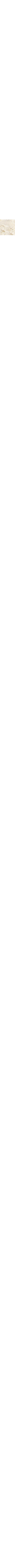 Écru - Lin