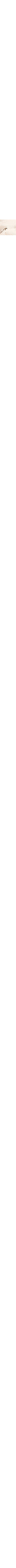 Écru - Lin